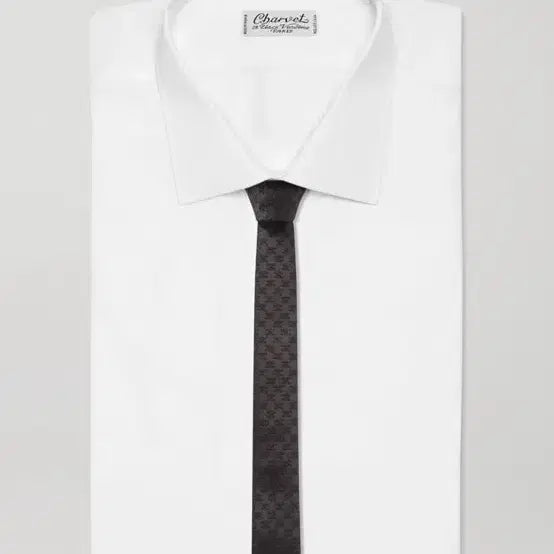 [BUNJANG] Celine Triomphe Silk Tie / [박보검님 착용] 셀린느 24ss 자카드 트리옴페 실크 타이