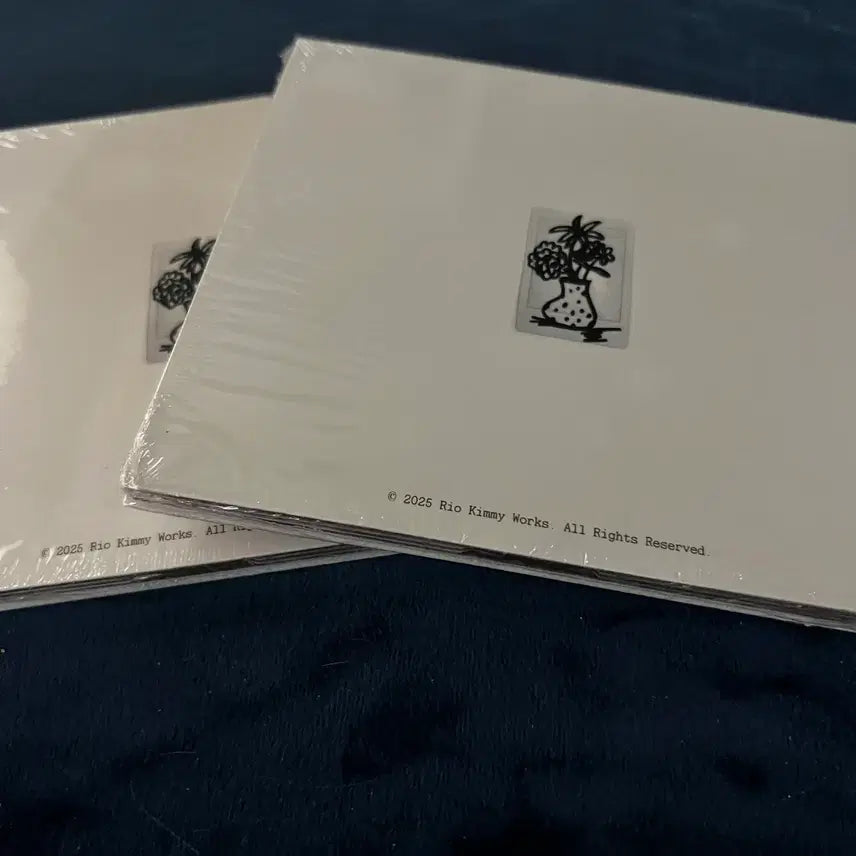 [BUNJANG] Rio The Young Lover CD Album / 리오 rio The Young Lover  cd 앨범