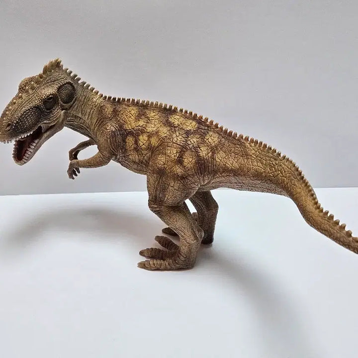 [BUNJANG] Schleich Giganotosaurus (Old Version) Dinosaur Figure / 슐라이히 기가노토사우루스 구판 공룡 피규어 동물 생물 장난감
