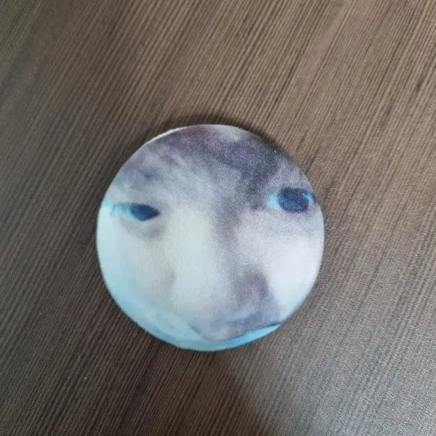 [BUNJANG] ZEROBASEONE Kim Gyu Vin Pin Badge / 제로베이스원김규빈말랑핀뱃지