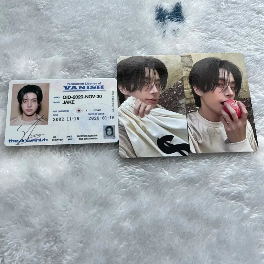 엔하이픈 제이크 더 신 베니쉬 엔진반 세트 양도