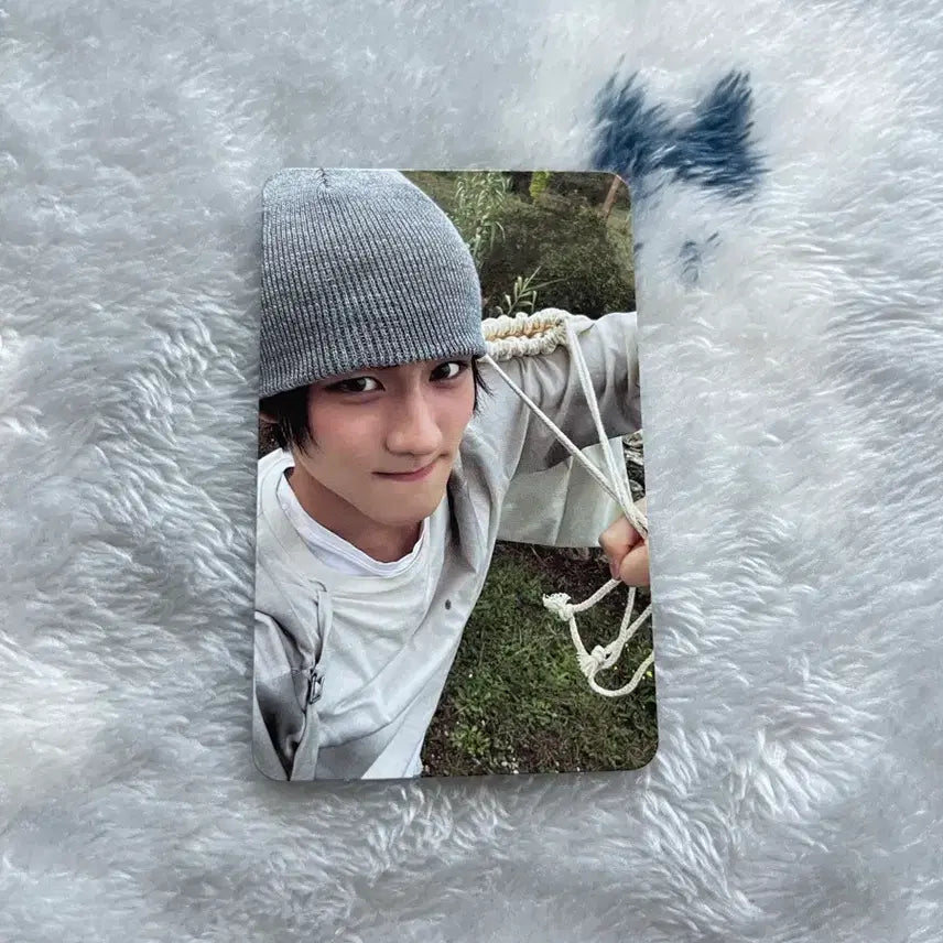 엔하이픈 정원 더 신 베니쉬 엔진반 양도