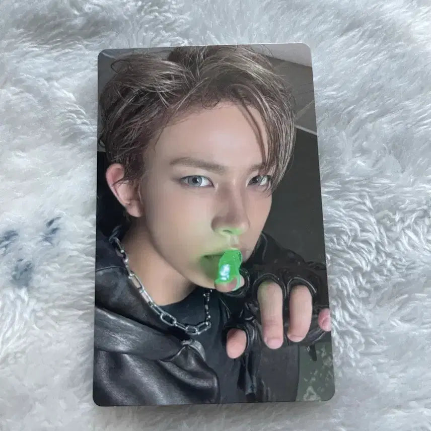 엔하이픈 희승 더 신 베니쉬 포카 판매