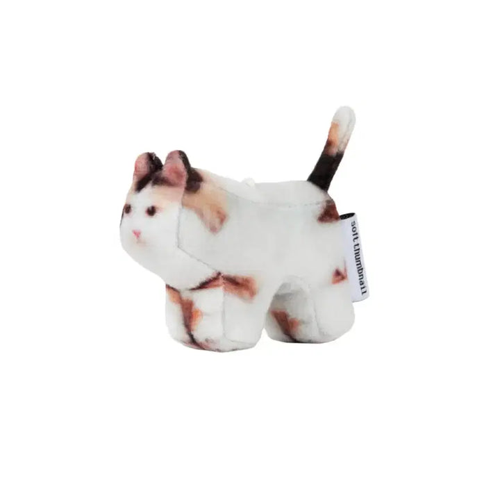 [BUNJANG] Jigoo Soft Thumbnail Keyring / 소프트섬네일 Jigoo 키링