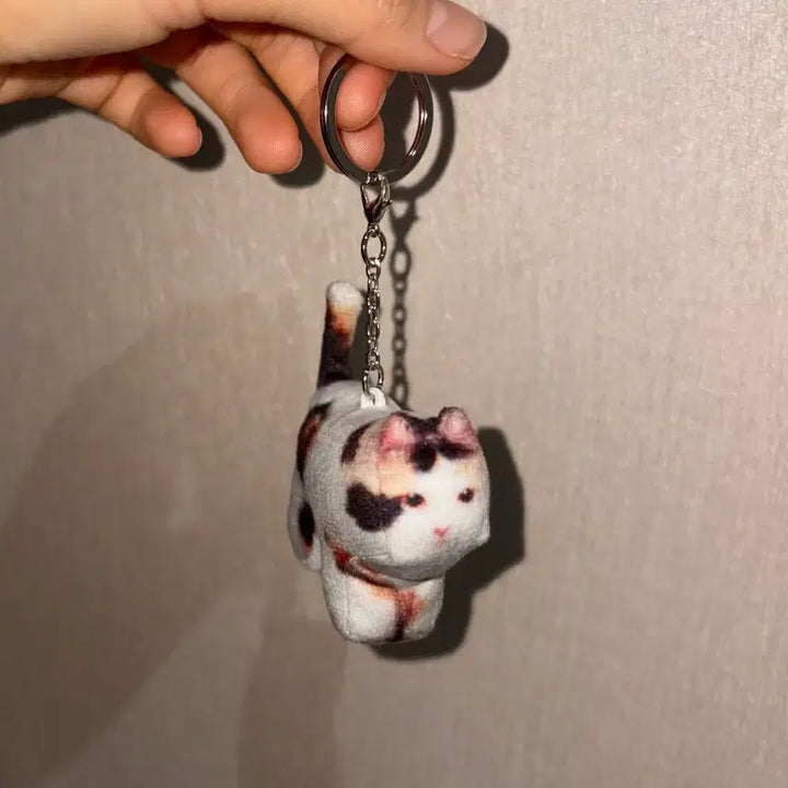 [BUNJANG] Jigoo Soft Thumbnail Keyring / 소프트섬네일 Jigoo 키링