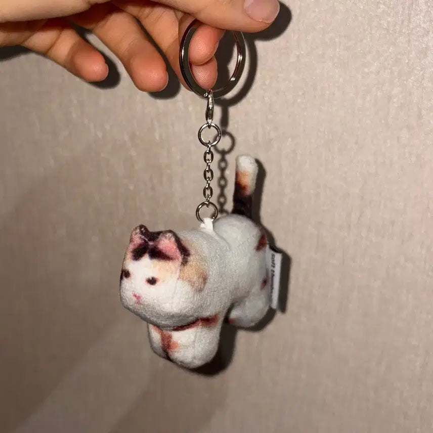 [BUNJANG] Jigoo Soft Thumbnail Keyring / 소프트섬네일 Jigoo 키링