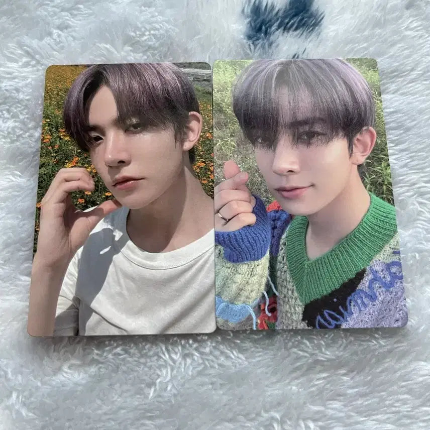 엔하이픈 오렌지 블러드 희승 위버스 버전 양도