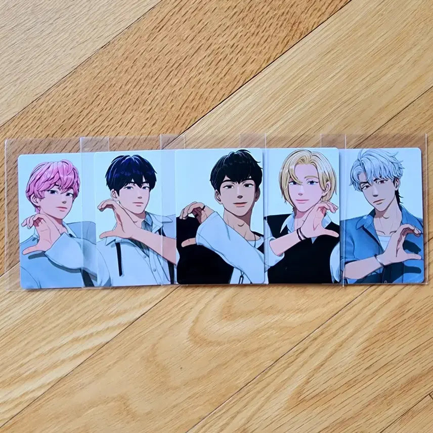 플레이브 5인 틱톡 포카 포토카드