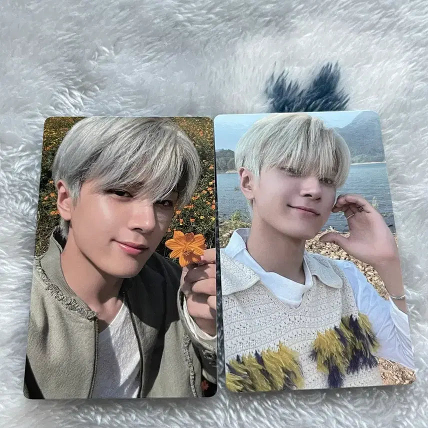 엔하이픈 제이 오렌지 블러드 위버스 버전 양도