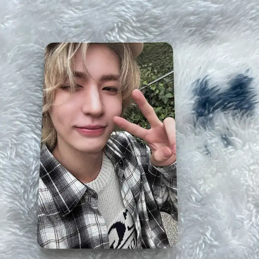 보넥도 이한 포토북 포카 양도