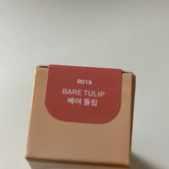 [BUNJANG] Hince R019 Bare Tulip / 힌스 R019 베어튤립