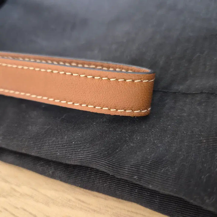 [BUNJANG] Celine Small Triomphe Pouch / 23fw 셀린느 탠 스몰 트리옹프 스트랩 파우치