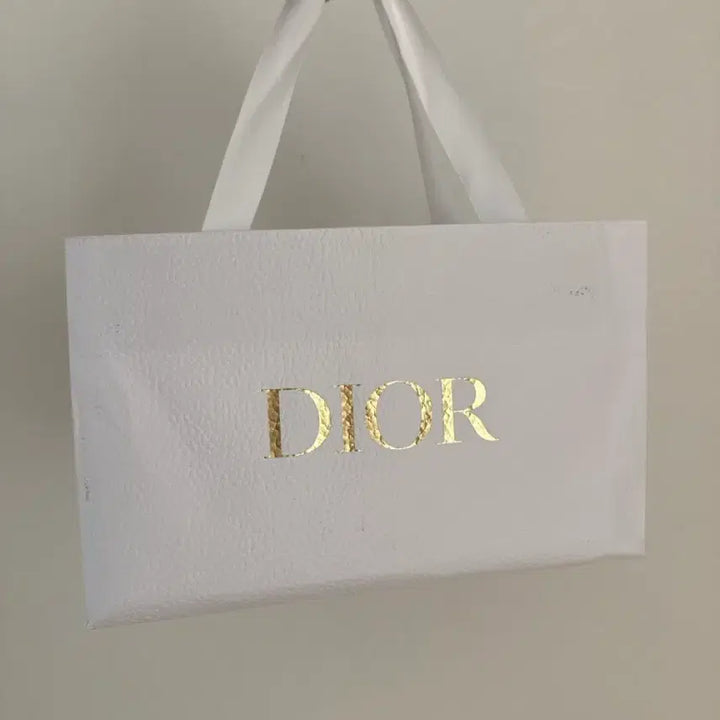 [BUNJANG] Dior Shopping Bag Set / 디올 쇼핑백 / 포장재 세트