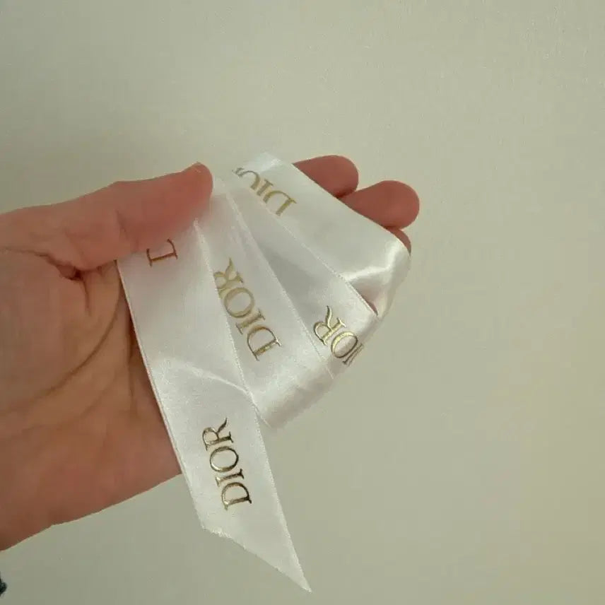 [BUNJANG] Dior Shopping Bag Set / 디올 쇼핑백 / 포장재 세트