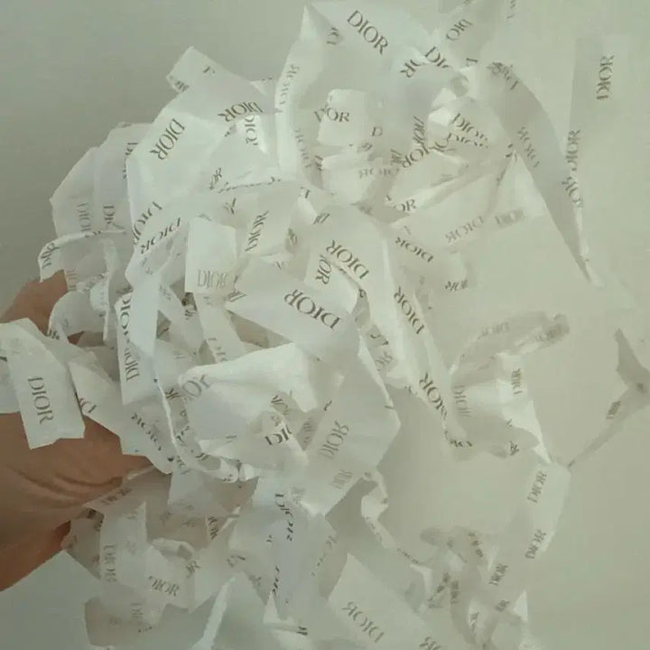 [BUNJANG] Dior Shopping Bag Set / 디올 쇼핑백 / 포장재 세트