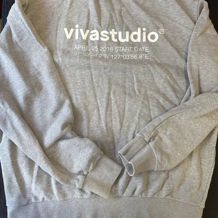 [BUNJANG] VIVASTUDIO Grey Sweatshirt L / 비바스튜디오 회색 맨투맨 L