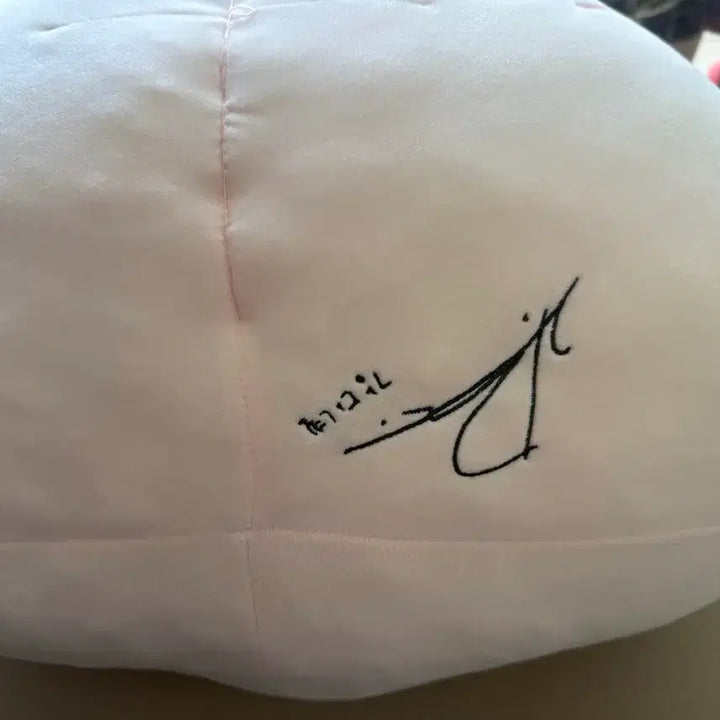 [BUNJANG] Kang Daniel Kakao Friends Cushion / 강다니엘 카카오프렌즈 쿠션