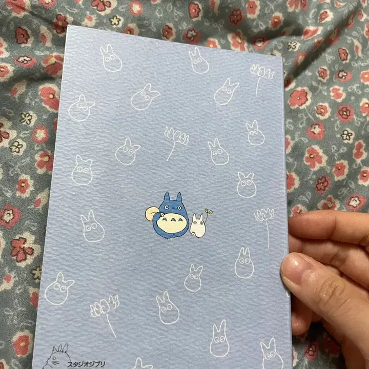 [BUNJANG] Ghibli Studio Totoro 2010 Scheduler Notebook / 토토로 2010년 스케쥴러 노트 희귀매물