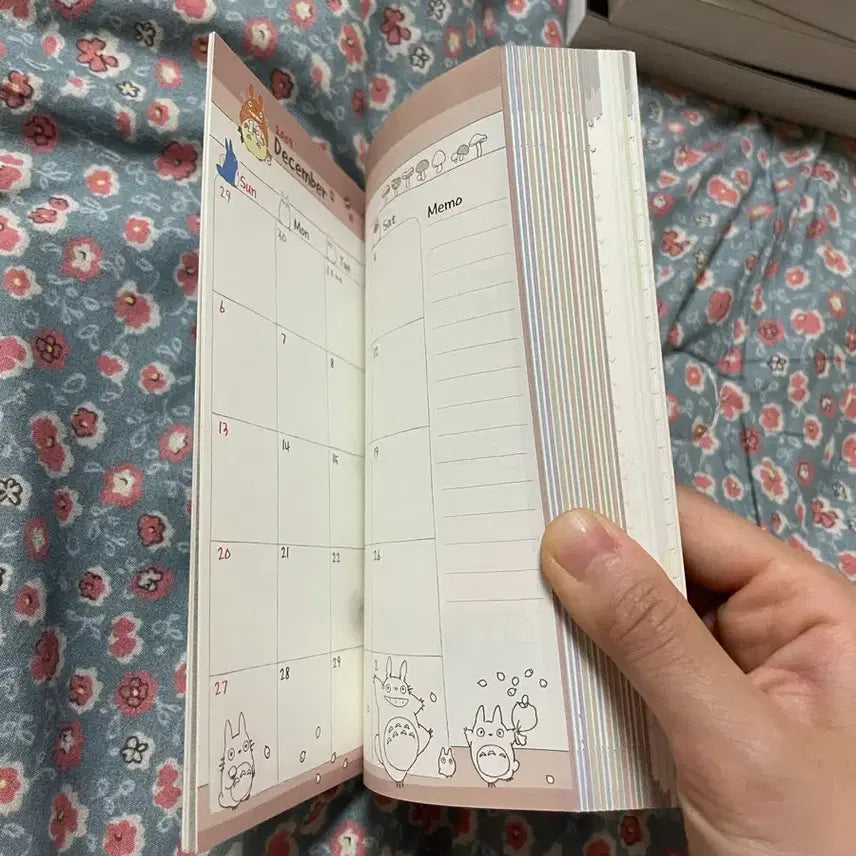[BUNJANG] Ghibli Studio Totoro 2010 Scheduler Notebook / 토토로 2010년 스케쥴러 노트 희귀매물