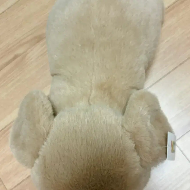 [BUNJANG] Doll for Sale / 인형 양도