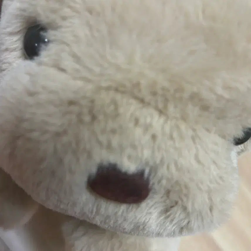 [BUNJANG] Doll for Sale / 인형 양도