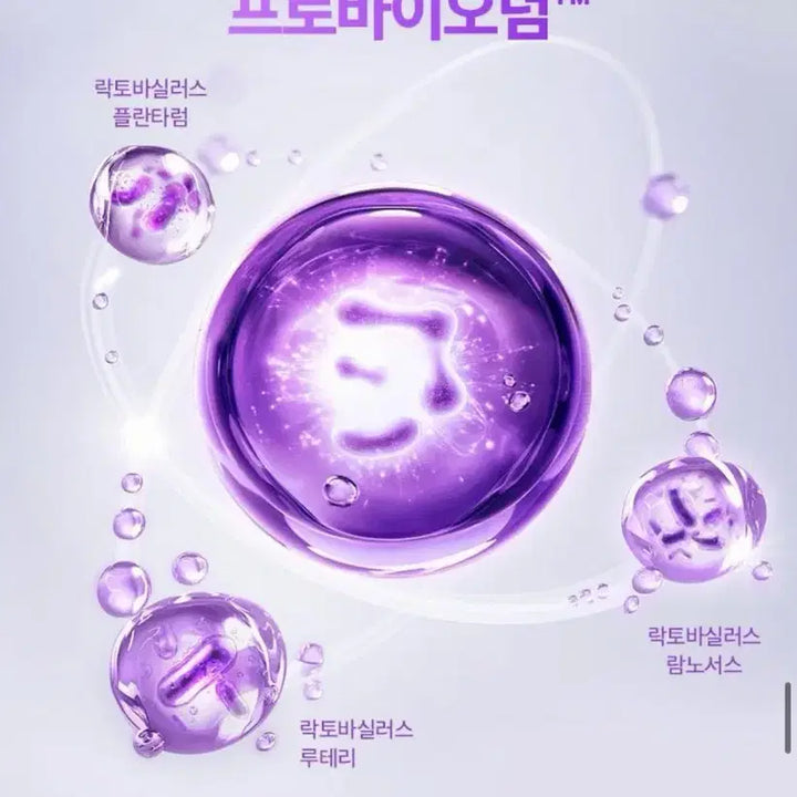 [BUNJANG] Bioheal Boh Lifting Cream Refill Set / [새상품] 바이오힐보 리프팅 크림 리필 기획