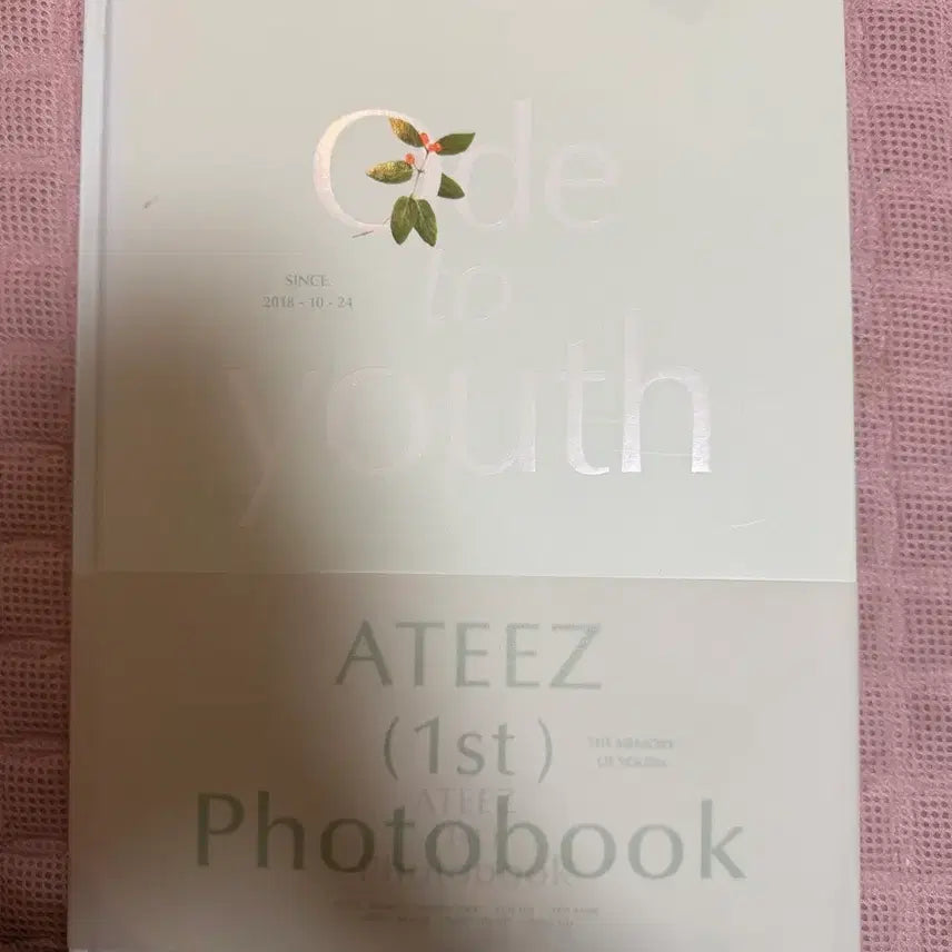 [BUNJANG] ATEEZ Photobook / 에이티즈 포토북