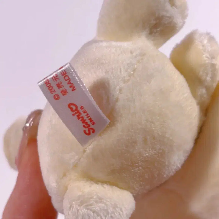 [BUNJANG] Cinnamoroll Azuki Cherry Doll / 택포)시나모엔젤 고전 아즈키 체리 인형 / 시나모롤