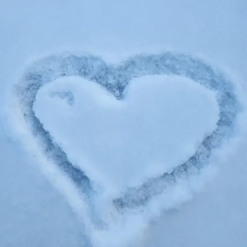 [BUNJANG] Korean Chicken Soup / 백숙