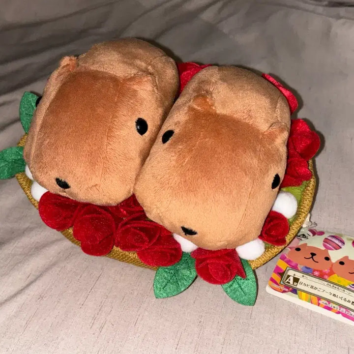 [BUNJANG] Capybara Plush Doll / 카피바라상 인형