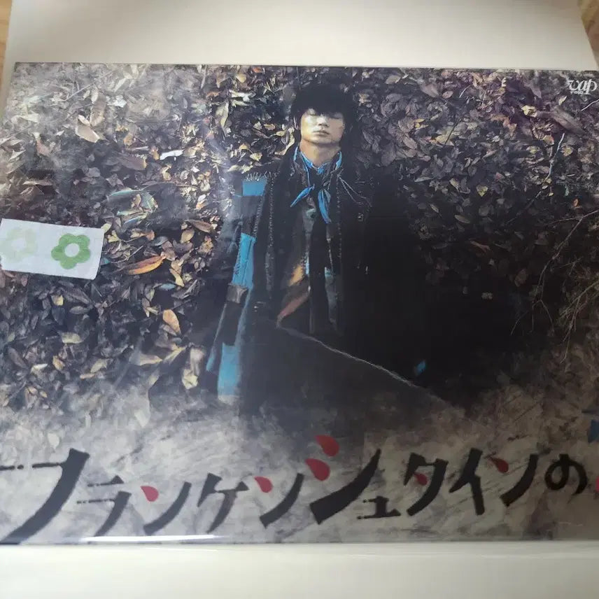 [BUNJANG] Gou Ayano Filmography Blu-ray DVD Collection / 아야노 고 필모 블루레이 DVD 판매
