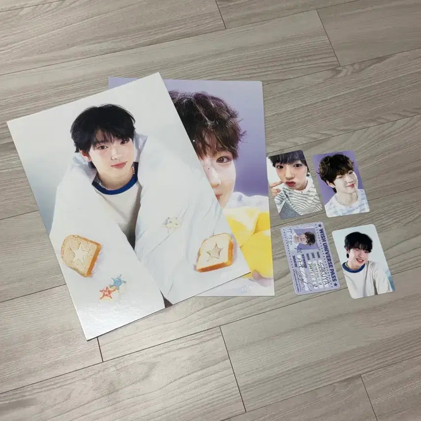 엔시티 위시 사쿠야 시그 일괄