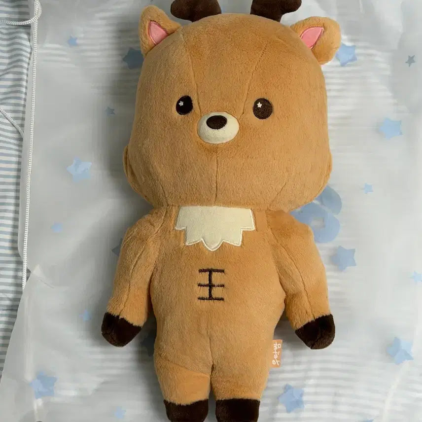 40cm 우락밤 라이즈 성찬