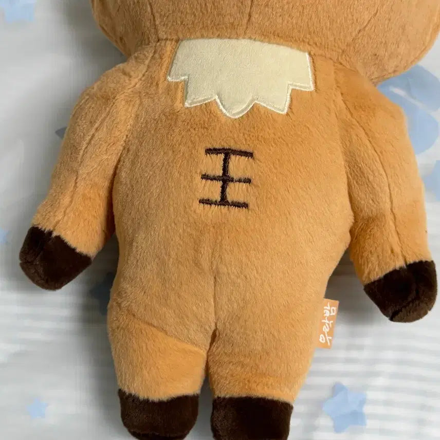 40cm 우락밤 라이즈 성찬