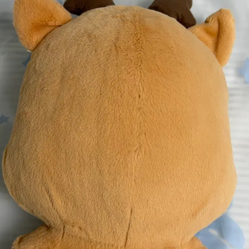 40cm 우락밤 라이즈 성찬