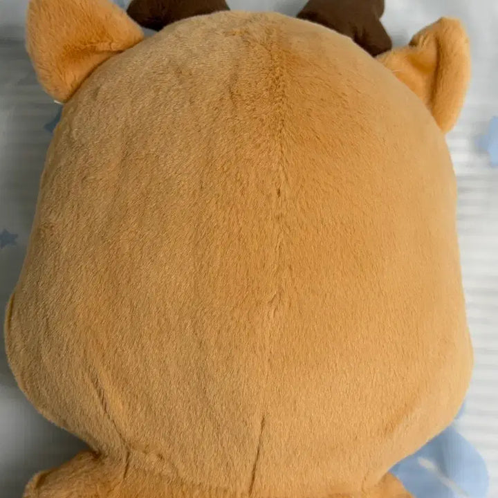 40cm 우락밤 라이즈 성찬