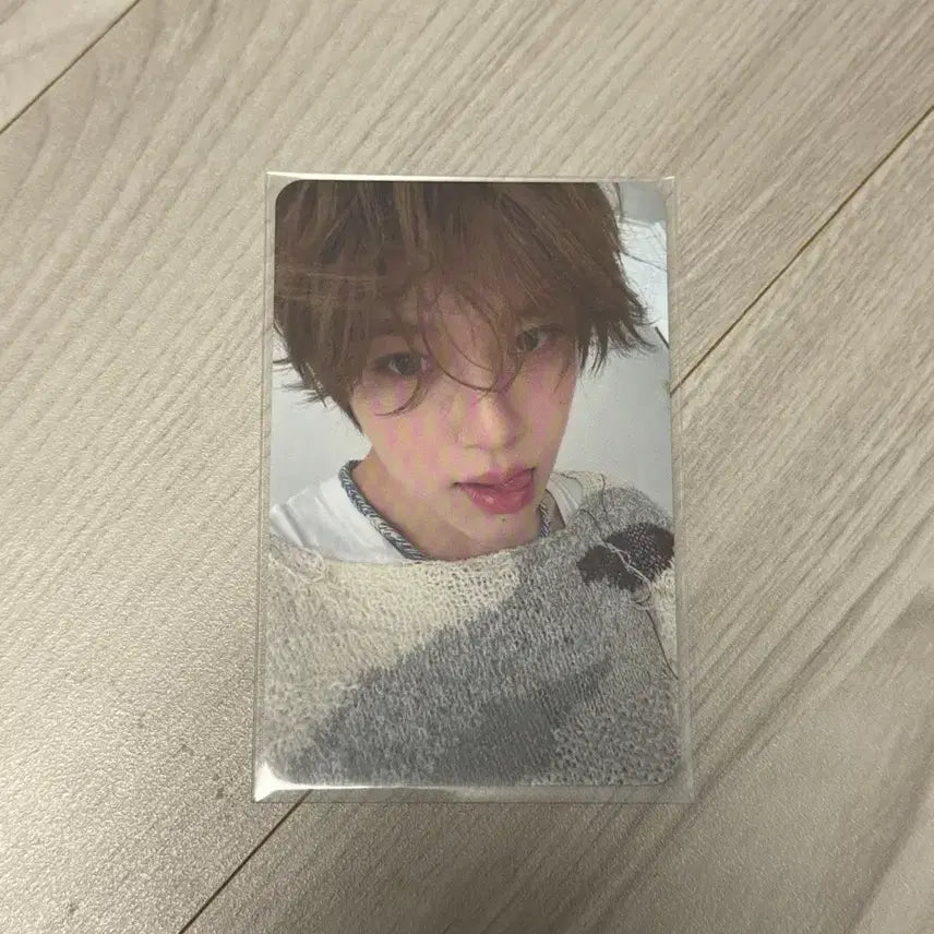 엔시티 위시 스테디 위드뮤 럭드 시온