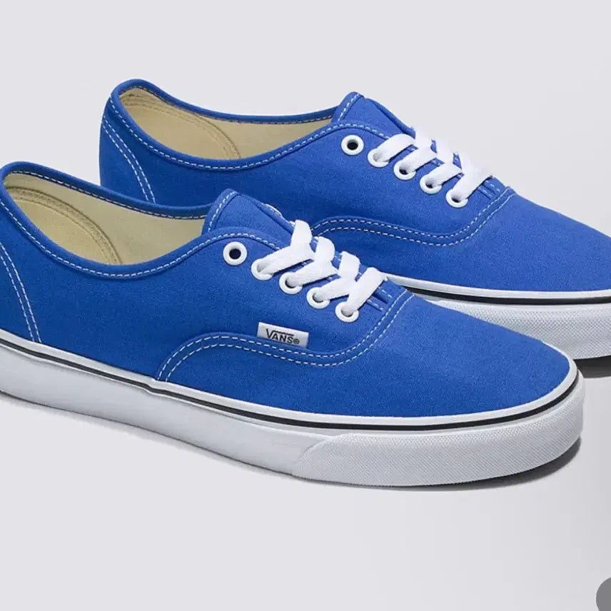 [BUNJANG] Vans Authentic Dazzling Blue (250cm) / 새상품) 반스 어센틱 다즐링블루 250cm