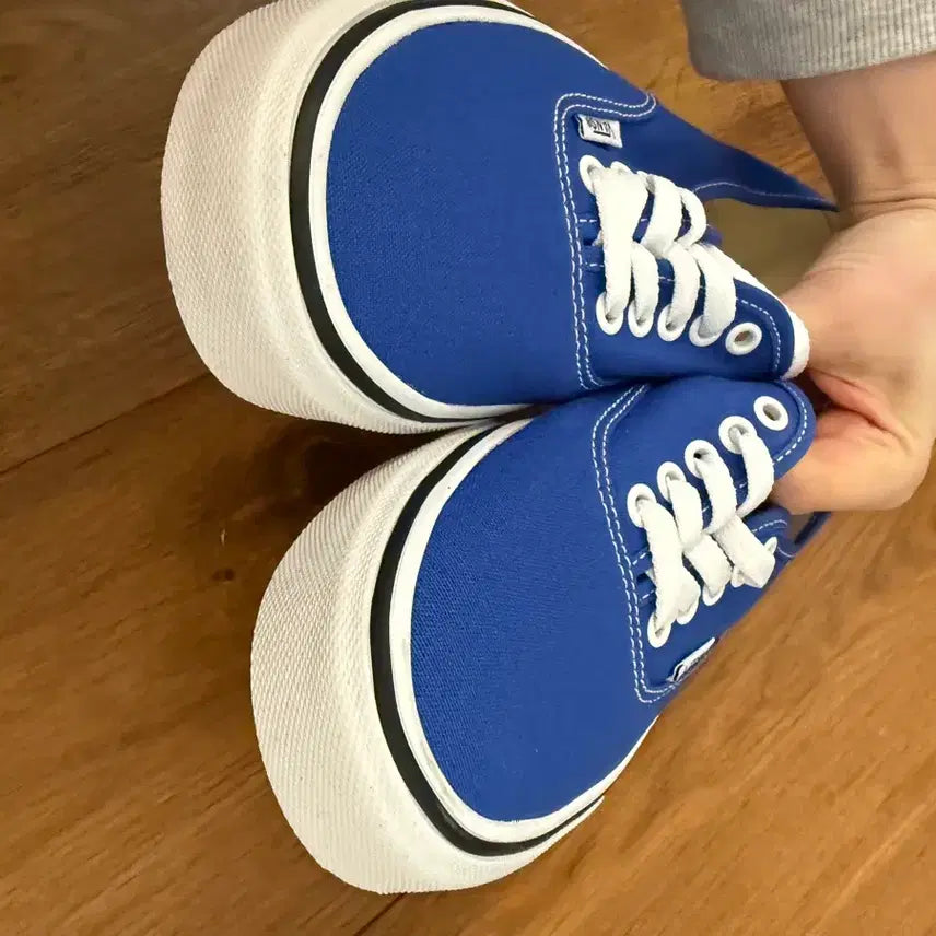 [BUNJANG] Vans Authentic Dazzling Blue (250cm) / 새상품) 반스 어센틱 다즐링블루 250cm