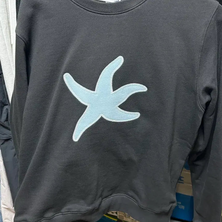 [BUNJANG] The Coldest Moment Starfish Charcoal M Size Sweatshirt / 더콜디스트모먼트 TCM starfish 맨투맨 차콜 M