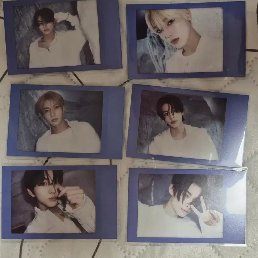 엔하이픈 romance untold daydream 위버스반 일괄