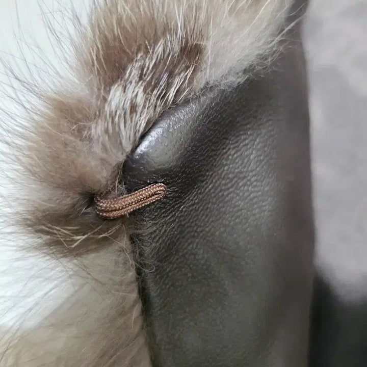 [BUNJANG] Brown Fox Fur Vest / 브라운 퍼 조끼 베스트