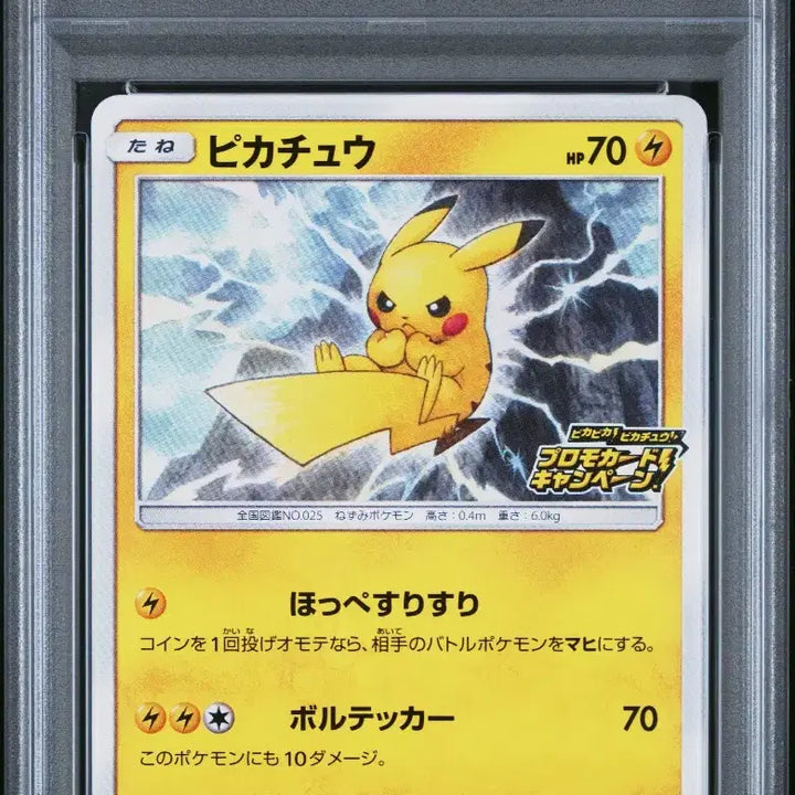 [BUNJANG] Pokemon Sword & Shield Promo Pikachu PSA 10 / [일판] 소드&실드 프로모 피카츄 psa10