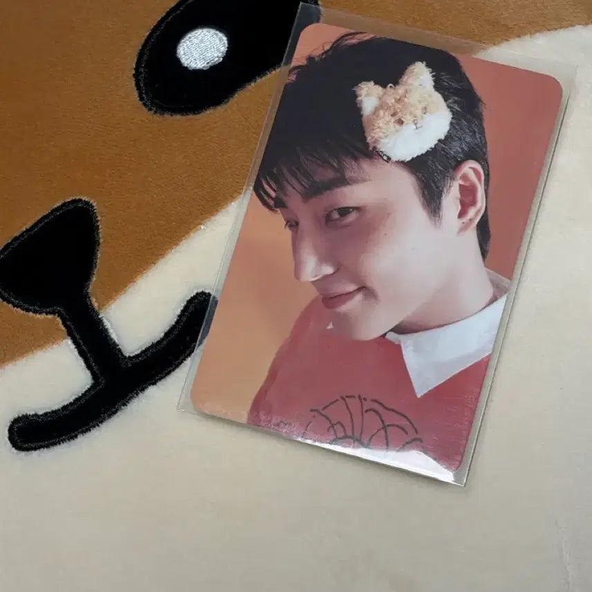 [BUNJANG] Day6 Young K Photocard / 데이식스 영케이 포카