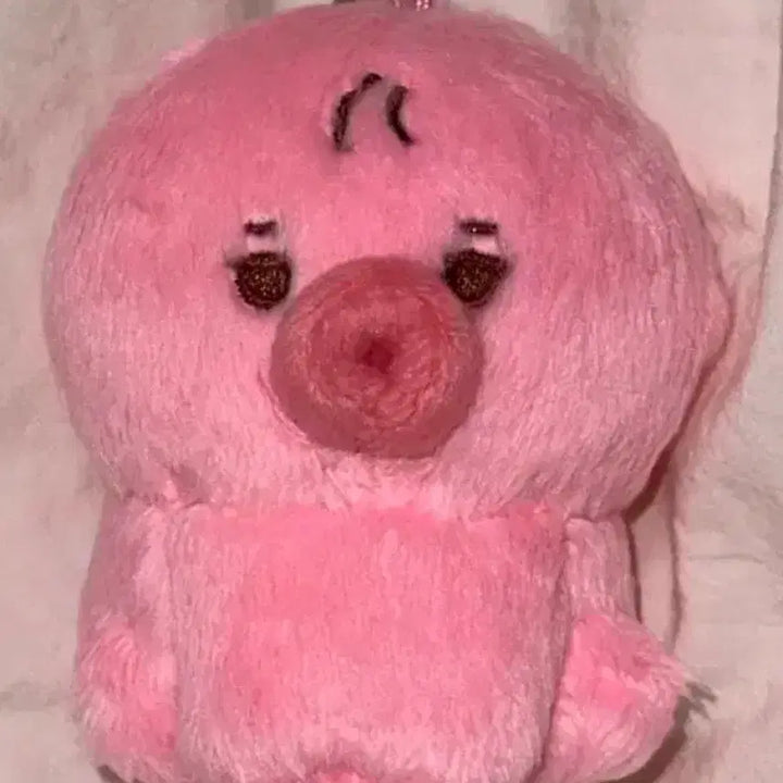 [BUNJANG] The Boyz Sunwoo Photocard / 더보이즈 선우 떤코 양도합니다