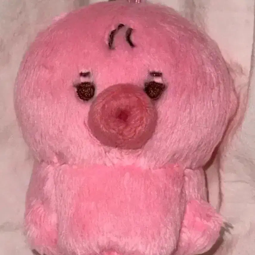 [BUNJANG] The Boyz Sunwoo Photocard / 더보이즈 선우 떤코 양도합니다