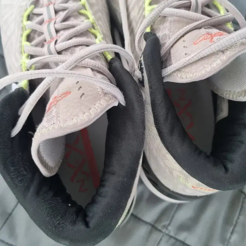 [BUNJANG] LeBron Basketball Shoes / 르브론 농구화