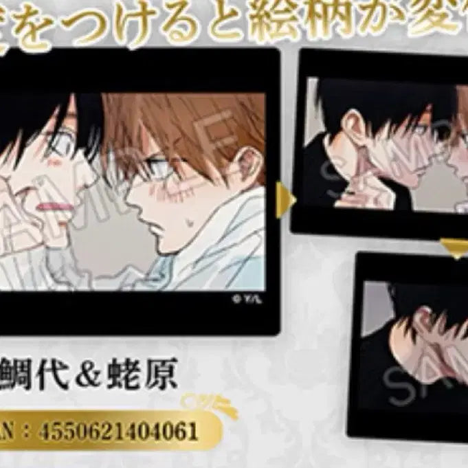 [BUNJANG] Tashiro You Are the One Lenticular Card / 타시로 너란 녀석은 렌티큘러 카드