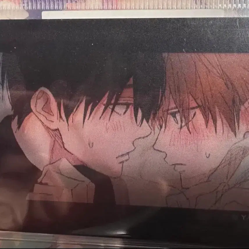 [BUNJANG] Tashiro You Are the One Lenticular Card / 타시로 너란 녀석은 렌티큘러 카드