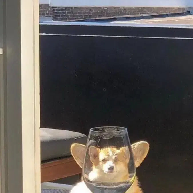 [BUNJANG] 2026 Summary & Workbook Set / 2026 필통 핵심요약집&문제집 (택포)